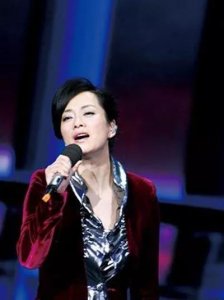 ​毛阿敏中国内地女歌唱家、演员