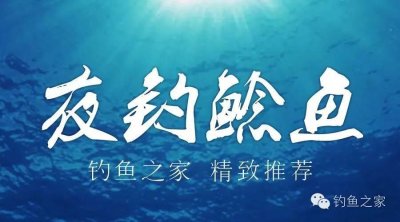 ​钓技 - 夏季夜钓鲶鱼，3种最实用方法！