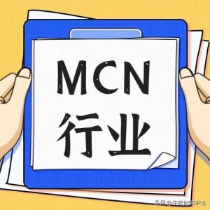 ​解读MCN