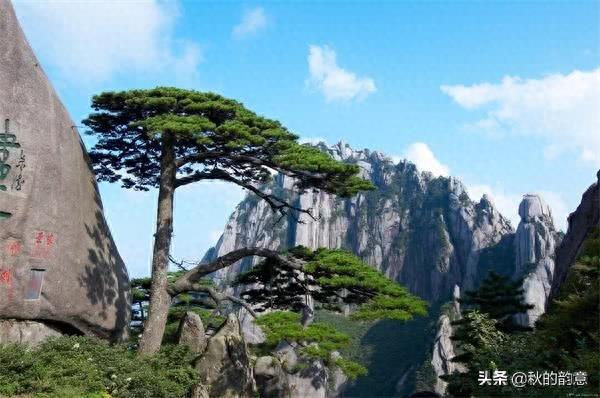 安徽省黄山风景区，主峰： 天都峰、莲花峰、光明顶。