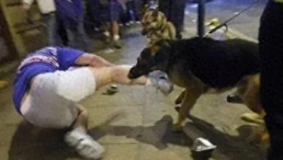 ​狗伤人事件频发，社会安全警报拉响！我们该怎么办？
