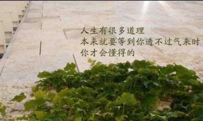 ​沧州市清整办再发延期公告，河北邮币卡投资人欲哭无泪