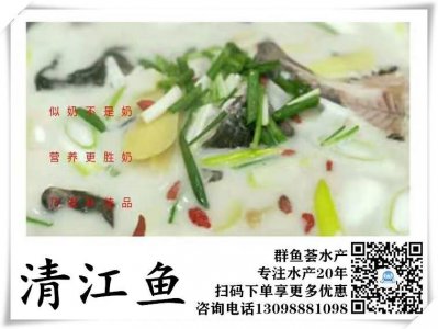 ​武汉清江鱼特价批发 清江鱼批发价