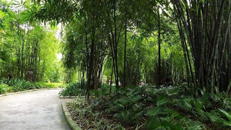 广州晓港公园之图集欣赏