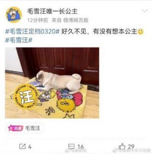 ​创新之路栏目组《毛雪汪》为何如此受欢迎，成为众多“打工人”的喜爱下饭菜综