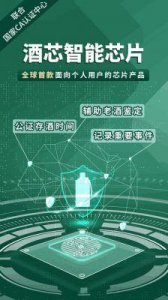 ​丰年经继拇中文 2：经典传承与创新发展