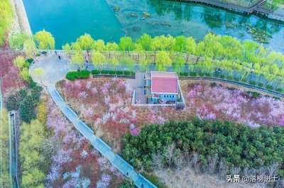 ​石家庄有一座翠屏湿地公园，风景秀丽免门票，是踏青赏花的好去处