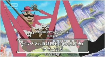 ​拥有进化性质的恶魔果实，蛋蛋果实到底有多强