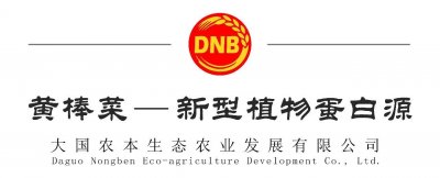 ​黄棒菜-土地种植适用性卓越