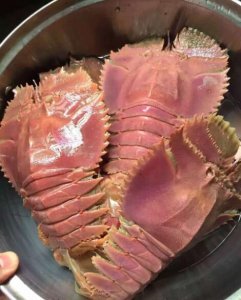 ​皮皮虾也可以这么大？强化版的皮皮虾来袭！