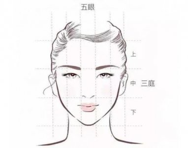 ​看一看你的发际线！和标准差了多少