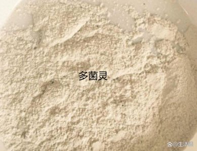 ​养花必备的“多菌灵”，教你正确的使用方法！