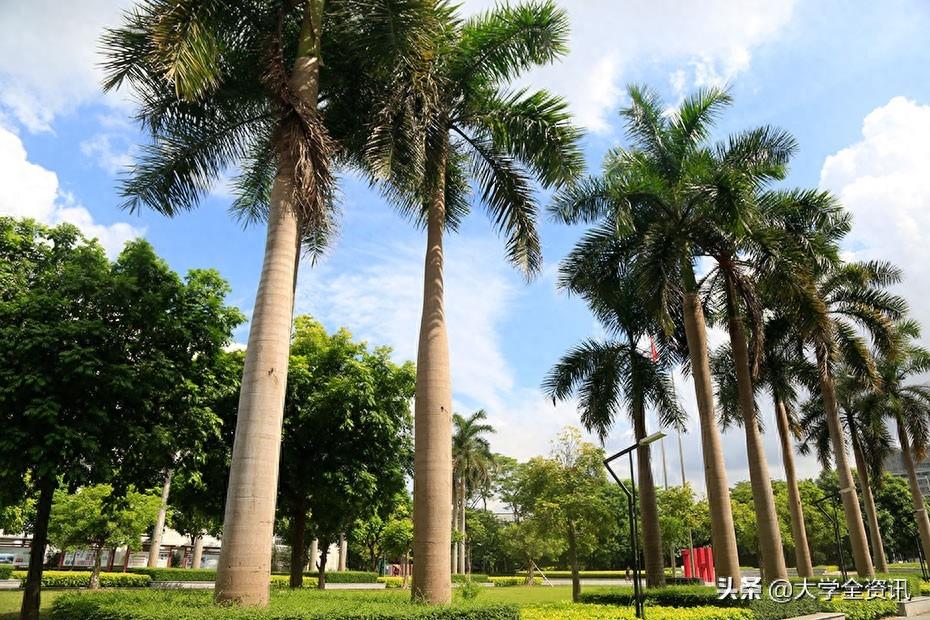大学印象之哈尔滨工业大学（深圳）