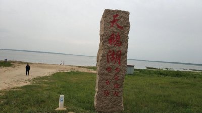 ​游张北天鹅湖