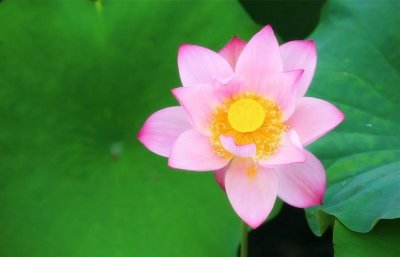 ​嘴里常说的“倒顺词”，你会写几个？