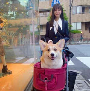​沈梦辰172身高真不虚，穿蓝白套裙双腿修长，30岁美成18岁少女