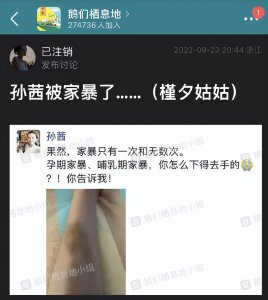 ​演员孙茜老公陷入舆论，曾被孙俪夸绝种好男人，如今却被爆料家暴