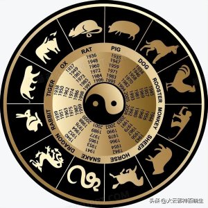 ​盘点六部国产十二生肖动漫