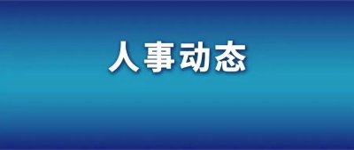 ​省部级人事密集调整！同一天，七省任命11位副省长